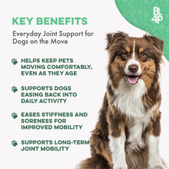 BestLife4Pets dog joints pills closeup highlights a tasteless, easy-to-dose supplement.