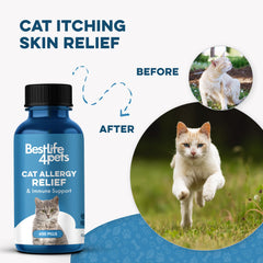 BestLife4Pets kitten-nose-closeup gentle daily support for nasal comfort