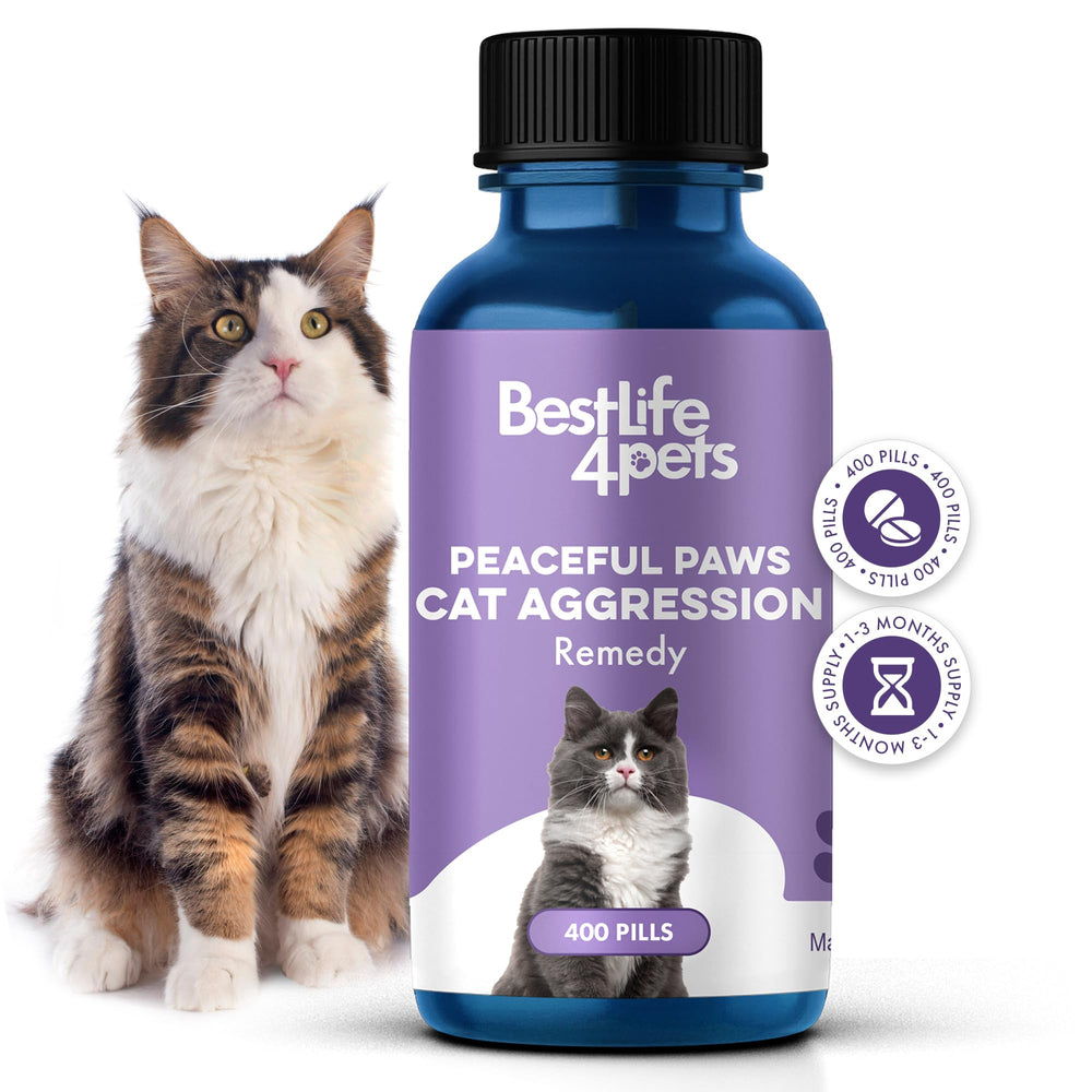 BestLife4Pets Peaceful Paws calming remedy bottle helps ease feline stress