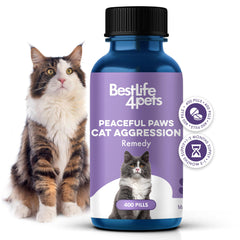 BestLife4Pets Peaceful Paws calming remedy bottle helps ease feline stress