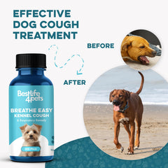 BestLife4Pets Breathe Easy supports calmer nights and smoother walks.