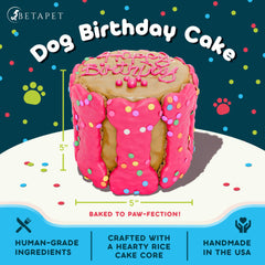 BETAPET dog birthday cake blue-rascal slice demonstrates vibrant style and safe, tasty ingredients for dogs