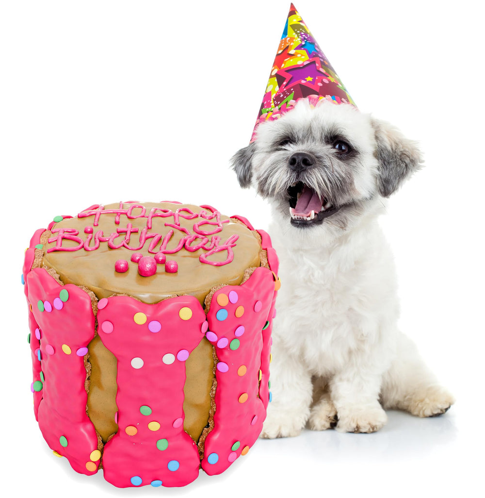 BETAPET dog birthday cake pink-trouble slice highlights celebratory color and crunchy texture for pups