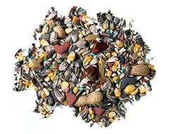 Better Bird parrot food bowl scene, ready for daily free-choice feeding.