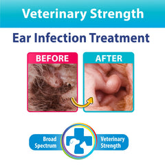 BEXLEY LABS Curaseb ear cleaner application drop for precise dosing and cleaning.