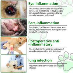 Beyxdu dog antibiotics ingredients-list highlighting Apple Cider Vinegar and herbs.