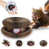 Bfbawm Kitty Toys Magic Organ cat scratcher assembled for indoor play and engagement.