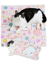 BFNN cat grooming wrap in soft microfiber around a calm cat during grooming.