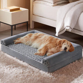 BFPETHOME dog bed 54x36-foam with spacious resting area for large dogs