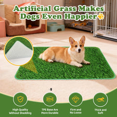 Bhyhok pee-pad-holder dimensions 23.6 by 35.4 inches for small and medium dogs