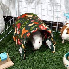 Bienbee Guinea Pig Tunnel open for curiosity and exploration