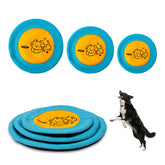 Bifeaw nylon flying disc 9inch in action for long glides.