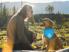 Big Brother Birthday Bandana for Dogs close-up, durable dyed material for long-lasting wear.