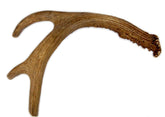 Big Dog Antler Chews: deer-antler-whole-9-13-inches; long-lasting chew for medium to large dogs.