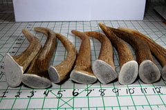 Big Dog Antler Chews free-range-elk-sourcing emphasizes natural origin