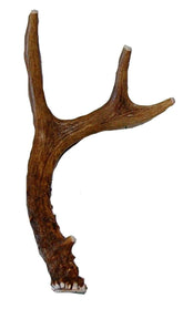 Big Dog Antler Chews: small deer antler with safety-cut tips for safe chewing.