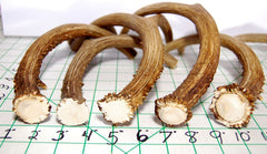 Big Dog Antler Chews: USA-sourced-deer-antlers; natural, additive-free chewing.