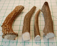 Big Dog Antler Chews USA-sourced wild deer provide natural calcium support.