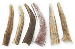Big Dog Antler Chews wild deer and elk antlers provide natural calcium for small dogs.