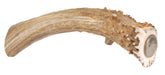 Big Dog Antler Chews XL base piece for a durable chew on large dogs