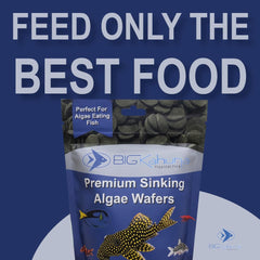 BIG KAHUNA TROPICAL FISH resealable bag keeps wafers fresh for longer use.