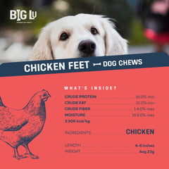 Big Lu chicken feet image suggests joint health support for active dogs.