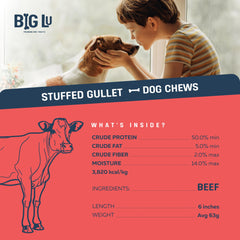 Big Lu dog-chewing-beef-jerky-stick demonstrates a durable chew during playtime