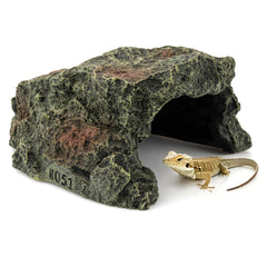 BIGWE resin turtle habitat in tank demonstrates privacy and stress-reducing hiding spot.
