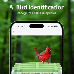 Billber real-time alerts deliver instant birdwatching updates with 1080p footage.