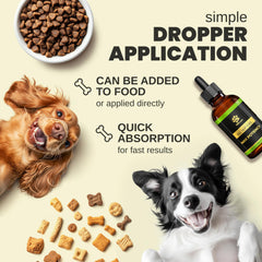 Billion Pets hemp oil cat relaxation image showcases soothing calming aid for travel.