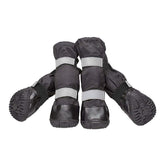 Botas Billionchains impermeables para perros protegen las patas en lluvia.