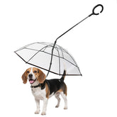 BillionChains dog umbrella open over small dog for rain protection