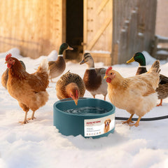 Billionchains no-freeze water bowl 2.2L keeps drinking water available during winter