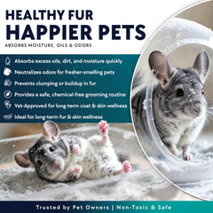 Billy Buckskin hamster sand bath granules in dish aid oil absorption.
