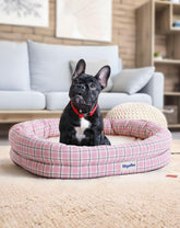 bilypaws orthopedic dog bed close-up of egg crate foam supporting joints and contouring comfort