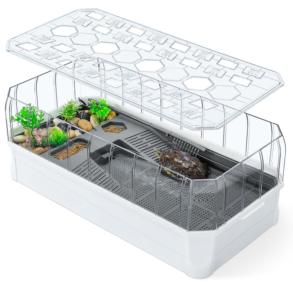 BINANO turtle habitat front view shows spacious space for baby turtles to explore