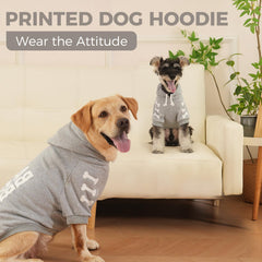 BINGPET Bad to the Bone hoodie back view highlights durable print for daily wear