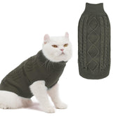 BINGPET Cat Sweater grey front view highlights cozy knit warmth for kittens