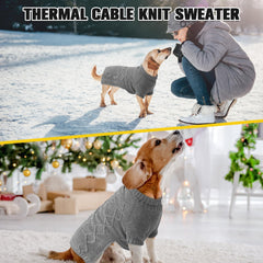 BINGPET classic-knit-pattern sweater adds timeless style for daily outings.