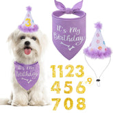 BINGPET dog birthday bandana 24in ready for a festive photo op.