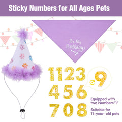 BINGPET birthday hat 5in sits comfortably for party moments.