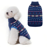 BINGPET dog sweater winter warmth shows a snug fit for chilly walks