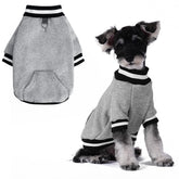 BINGPET dog sweatshirt grey fabric close-up, cozy warmth for chilly walks.