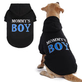 BINGPET Mommy's Boy dog sweater hood back view — cozy warmth for chilly walks