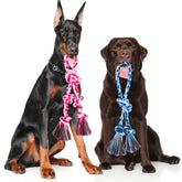 BINGPET two-pack rope toy close-up of sturdy knots for durable tugging