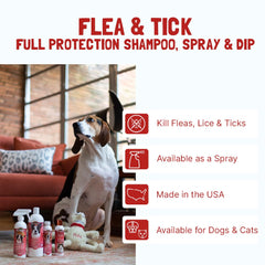 Bio-Groom shampoo-lather demonstrates gentle cleansing for dogs and cats with protein boost.