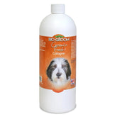 Bio-Groom Groom'n Fresh bottle front shows premium dog cologne for between-bath freshening