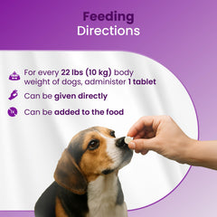 Bio PetActive 75 chewable tablets for easy daily dosing.