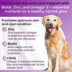 Bio PetActive omega-3 fish oil softgels for joint comfort and shine.
