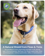 BIOPOWER PET Shield tag on a cat for year-long deterrence.